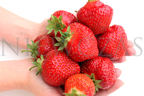 Strawberry fruits on hands