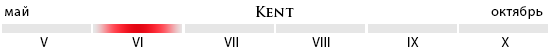 Пора созревания Kent