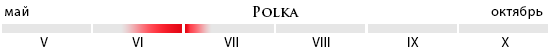 Пора созревания Polka