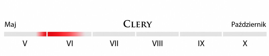Clery 