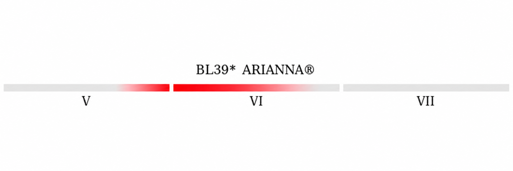 Czas owocowania odmiany Arianna