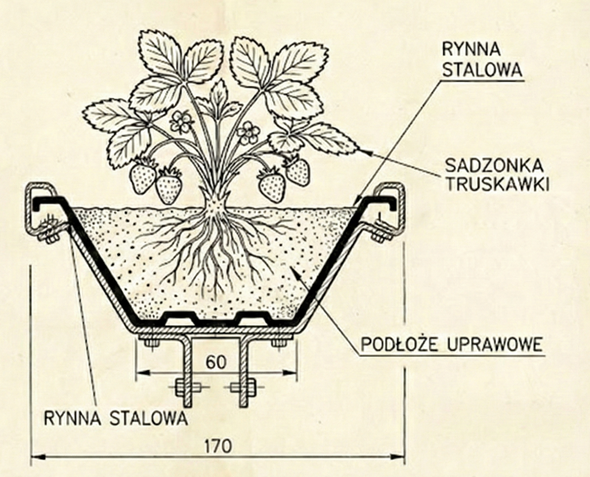 Tabletop - system rynnowy