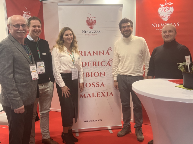 Szkółka Niewczas TSW