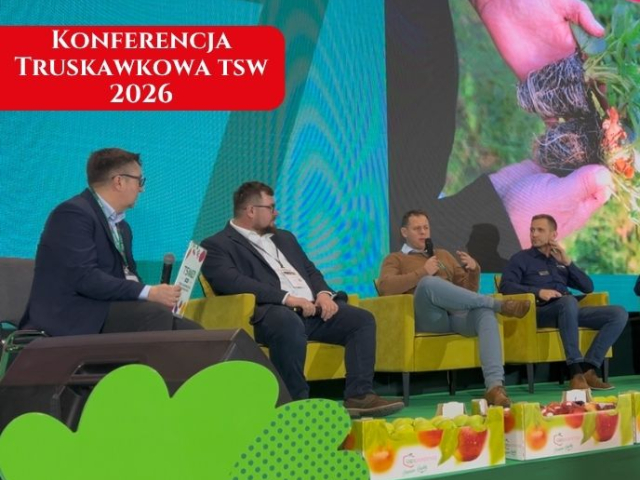 Konferencja Truskawkowa TSW