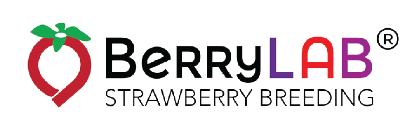 BerryLAB Strawberry Breeding
