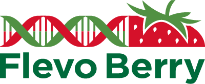Flevoberry