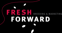 Fresh Forward