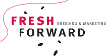 Fresh Forward