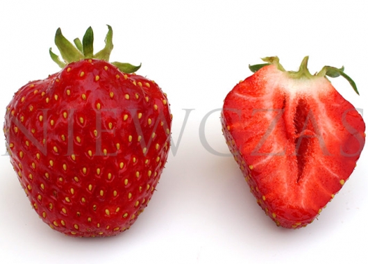 Cut strawberry fruit of Kent