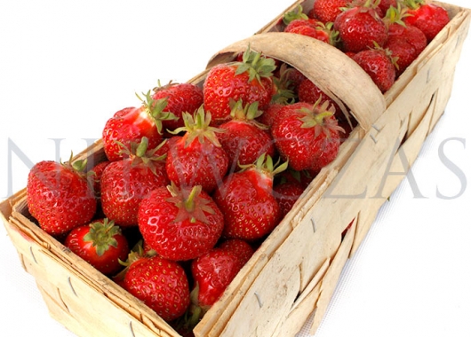 Elkat strawberry variety fruits in boxes