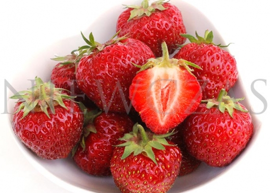 Strawberry fruits of Senga Sengana on the plate