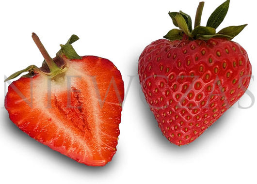 Owoce wczesnej odmiany Vibrant