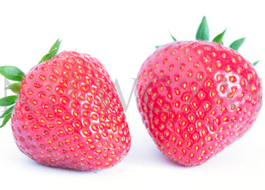 Owoce późnej odmiany Faith