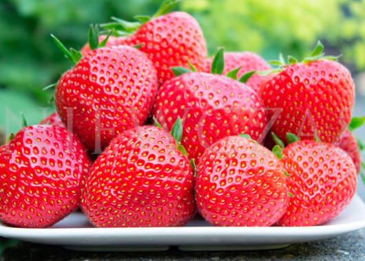 Owoce truskawki Faith na talerzu