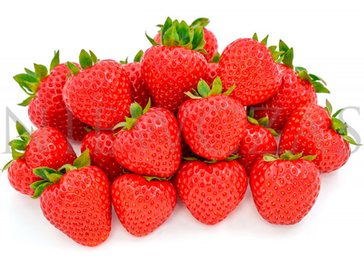 Truskawki odmiany Hademar