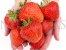 Elsanta strawberries on hands