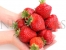 Honeoye strawberries on hands