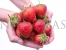 Erdbeere Judibell