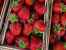 Truskawka Holy w koszyku