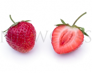 Erdbeere Judibell