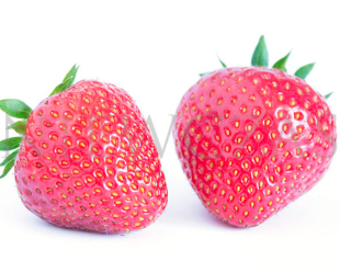 Owoce późnej odmiany Faith