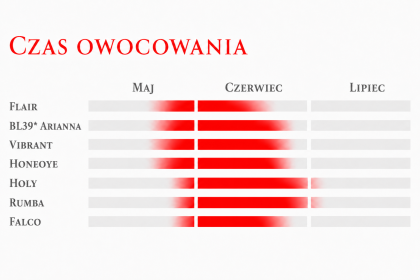 Bardzo wczesne i wczesne odmiany truskawek
