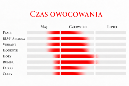 Bardzo wczesne i wczesne odmiany truskawek